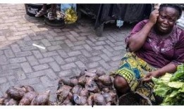 非洲网红吃瓜事件视频大全,视频大全揭秘网络热点的背后